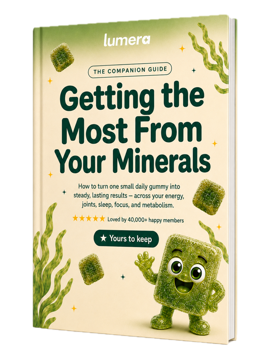 The Companion Guide